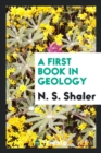 A First Book in Geology - Book