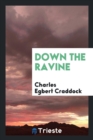 Down the Ravine - Book