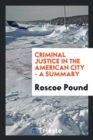 Criminal Justice in the American City - A Summary - Book