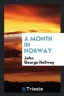A Month in Norway - Book