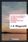 Divine Immanence : An Essay on the Spiritual Significance of Matter - Book