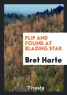 Flip and Found at Blazing Star - Book