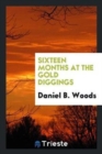 Sixteen Months at the Gold Diggings - Book