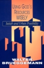 Using God's Resources Wisely : Isaiah and Urban Possibility - Book