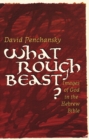 What Rough Beast? : Images of God in the Hebrew Bible - Book