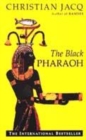 The Black Pharaoh - Book