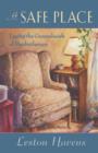 A Safe Place : Laying the Groundwork of Psychotherapy - Book