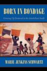 Born in Bondage : Growing Up Enslaved in the Antebellum South - Book