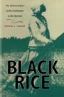 Black Rice : The African Origins of Rice Cultivation in the Americas - Book