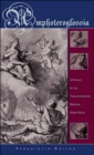 Amphoteroglossia : A Poetics of the Twelfth-Century Medieval Greek Novel - Book