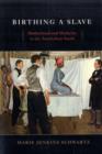 Birthing a Slave : Motherhood and Medicine in the Antebellum South - Book