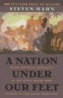 A Nation under Our Feet : Black Political Struggles in the Rural South from Slavery to the Great Migration - Hahn Steven Hahn