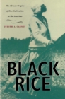 Black Rice : The African Origins of Rice Cultivation in the Americas - eBook