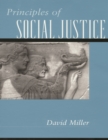 Principles of Social Justice - eBook