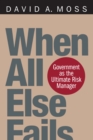 When All Else Fails : Government as the Ultimate Risk Manager - eBook