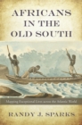 Africans in the Old South : Mapping Exceptional Lives across the Atlantic World - Book