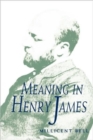 Meaning in Henry James - Book