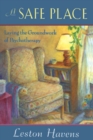 A Safe Place : Laying the Groundwork of Psychotherapy - eBook