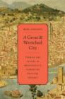 A Great and Wretched City : Promise and Failure in Machiavelli’s Florentine Political Thought - Book
