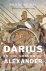 Darius in the Shadow of Alexander - eBook