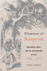 Elements of Surprise : Our Mental Limits and the Satisfactions of Plot - eBook