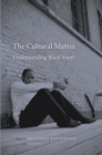The Cultural Matrix : Understanding Black Youth - eBook