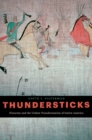 Thundersticks : Firearms and the Violent Transformation of Native America - Silverman David J. Silverman