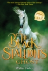 The Black Stallion's Ghost - Book