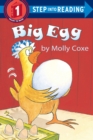 Big Egg - Book