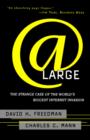 At Large : The Strange Case of the World's Biggest Internet Invasion - Book