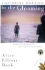 In The Gloaming : Stories - Book