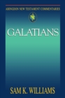 Abingdon New Testament Commentaries : Galatians - Book