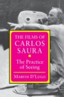 The Films of Carlos Saura : The Practice of Seeing - Book