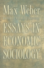 Essays in Economic Sociology - Book