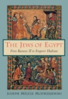 The Jews of Egypt : From Rameses II to Emperor Hadrian - Book