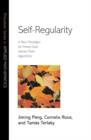 Self-Regularity : A New Paradigm for Primal-Dual Interior-Point Algorithms - Book