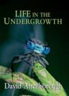 Life in the Undergrowth - Book