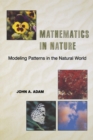 Mathematics in Nature : Modeling Patterns in the Natural World - Book
