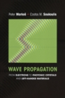 Wave Propagation : From Electrons to Photonic Crystals and Left-Handed Materials - Book