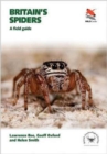 Britain's Spiders : A Field Guide - Book