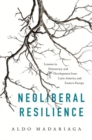 Neoliberal Resilience : Lessons in Democracy and Development from Latin America and Eastern Europe - Book