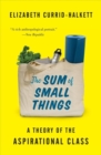 The Sum of Small Things : A Theory of the Aspirational Class - Book