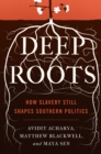 Deep Roots : How Slavery Still Shapes Southern Politics - Book