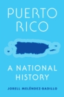 Puerto Rico : A National History - Book