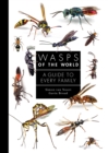 Wasps of the World : A Guide to Every Family - Book