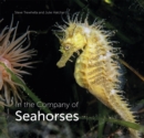 In the Company of Seahorses - eBook