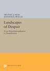 Landscapes of Despair : From Deinstitutionalization to Homelessness - Book