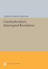 Czechoslovakia's Interrupted Revolution - Book
