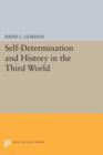 Self-Determination and History in the Third World - Book