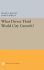 What Drives Third World City Growth? - Book